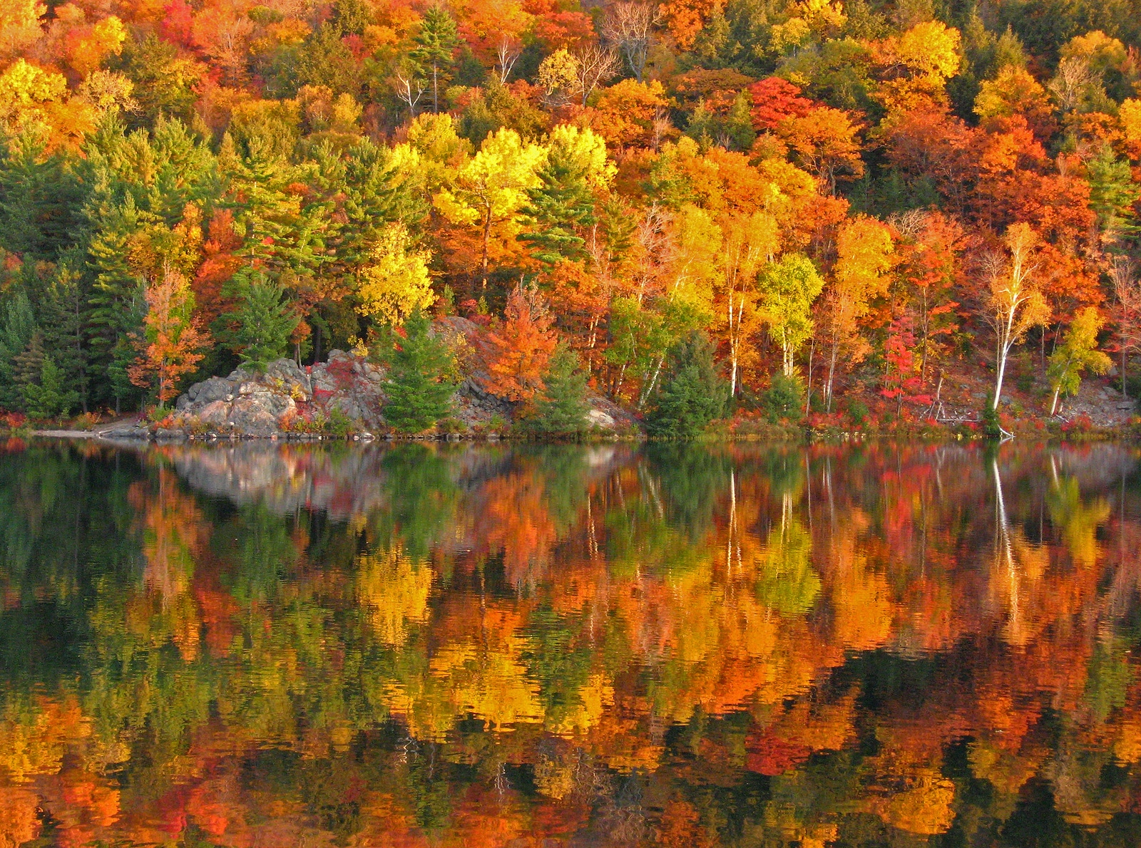 Fall Foliage In New Hampshire