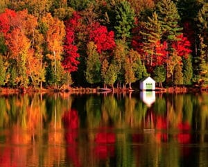 Fall Foliage New Hampshire