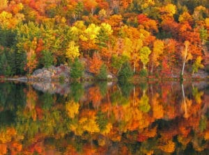 Fall Foliage Lakes Region New Hampshire