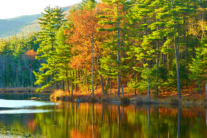 Fall foliage reflected in lake