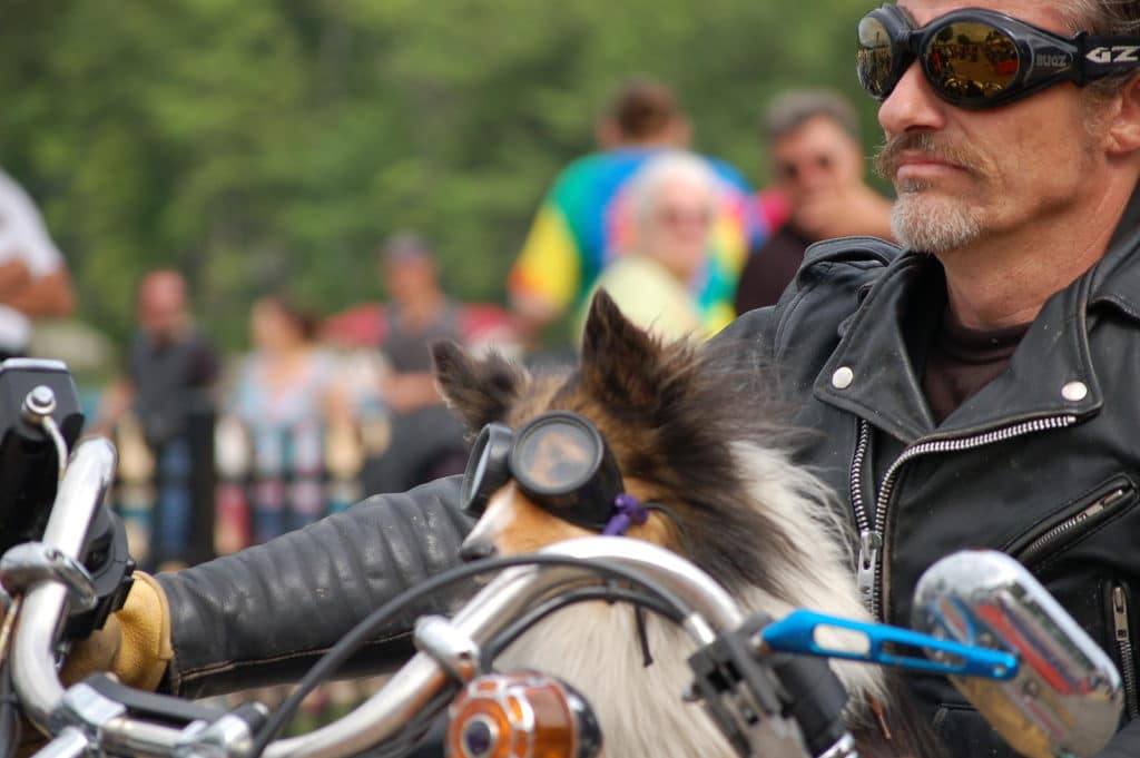 Laconia Motorcycle Week 2020