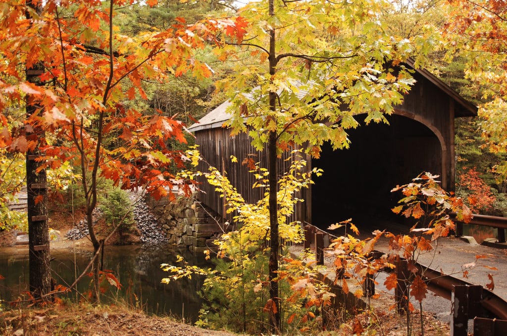 Fall Foliage in New Hampshire