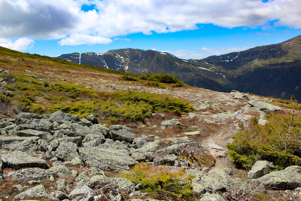 Drive up Mt. Washington Auto Road this summer