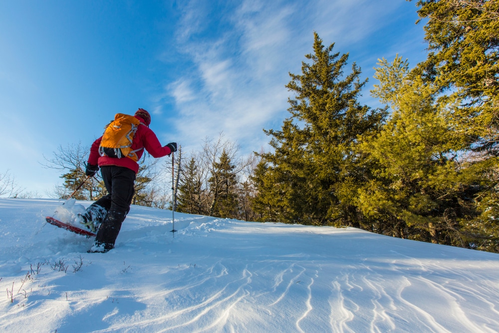 There are plenty of fun things to do near our Bed and Breakfast in Laconia NH this winter