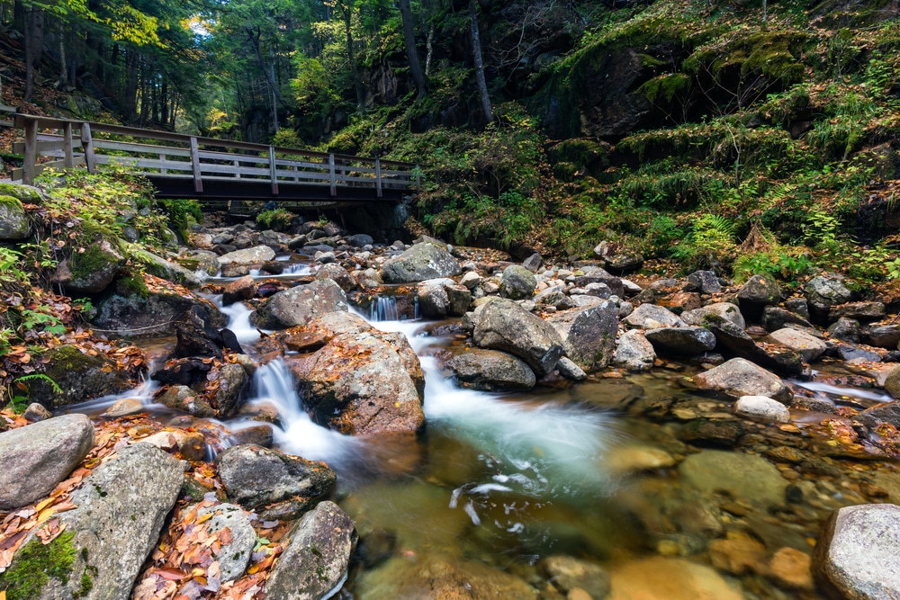 Hiking in beautiful scenery like this is one of the many great things to do in Franconia Notch State Park