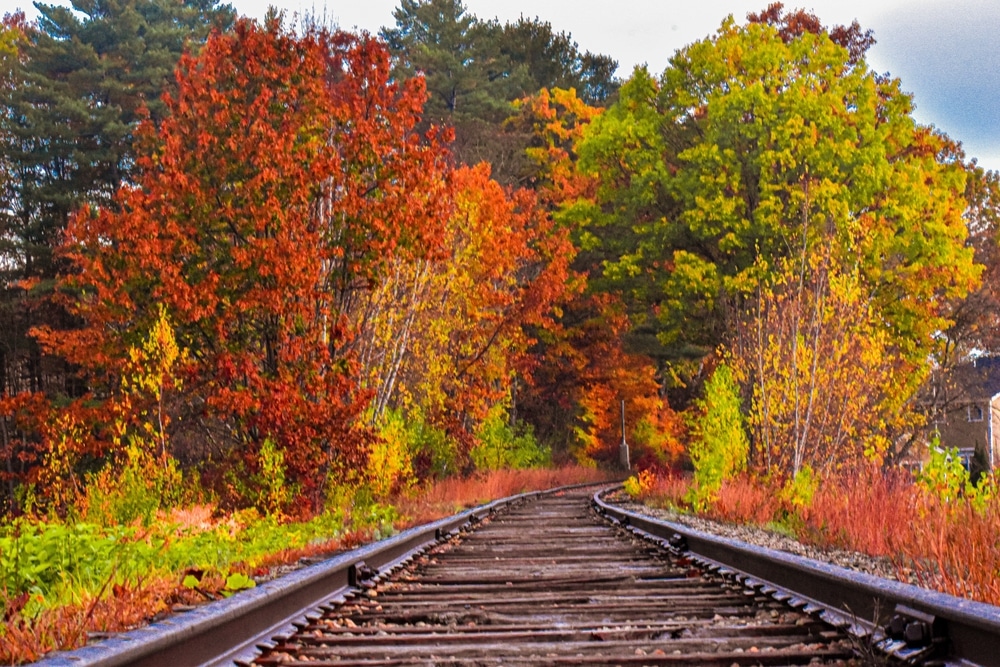 Gorgeous fall foliage on the Winnipesaukee Scenic Railroad